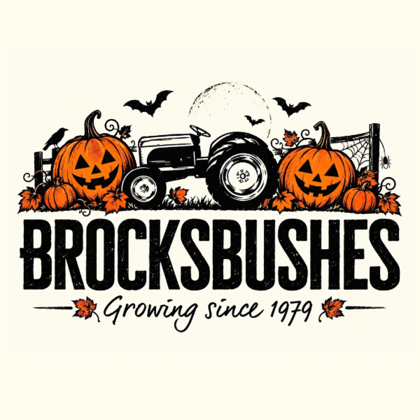 Brocksbushes Pumpkin Experience Food & Drink Menus