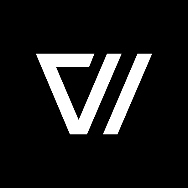 VI COACHING