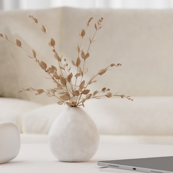 A grounded path to balanced health and resilient skin in midlife.