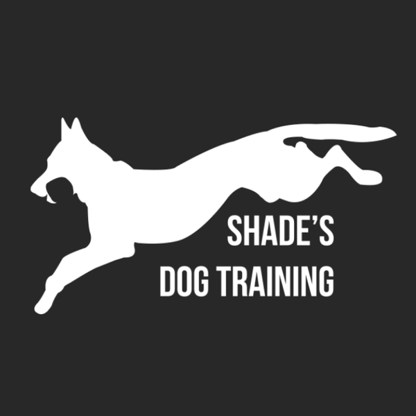 TRAINING FOR POWER + PRECISION