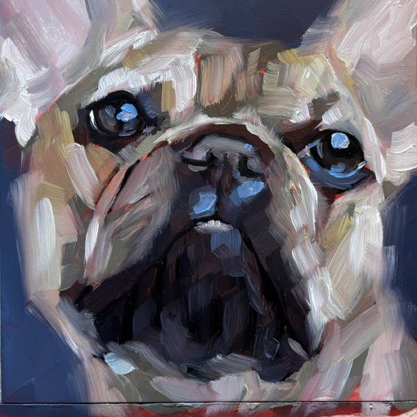 Ryen Huntley Pet Portraits