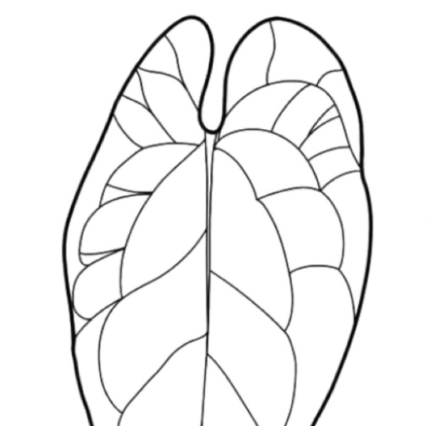 @fontanimalplanthouse
