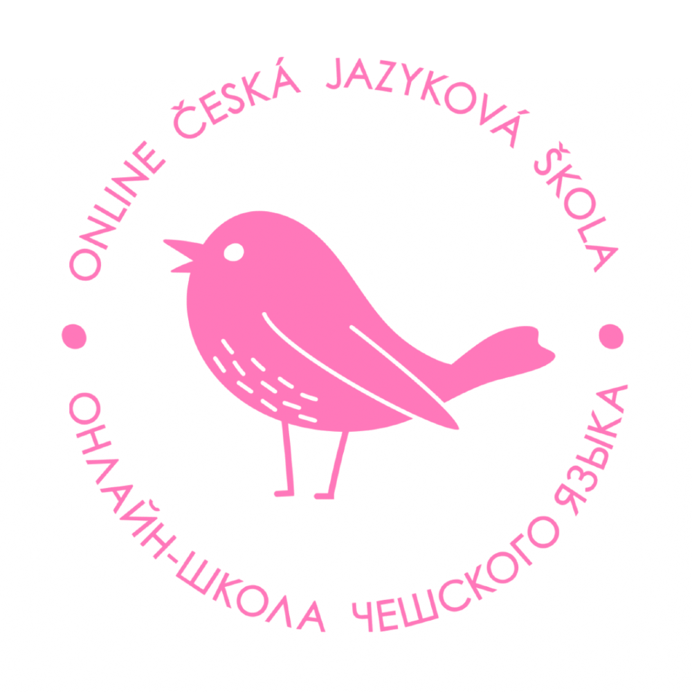 S&yacute;korka school     